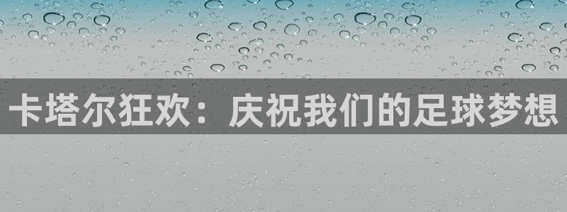 世界杯赛程时间表：卡塔尔狂欢：庆祝我们的足球梦想