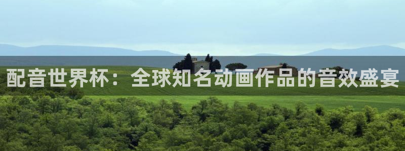 世界杯2026预选赛：配音世界杯：全球知名动画作品的音效盛宴