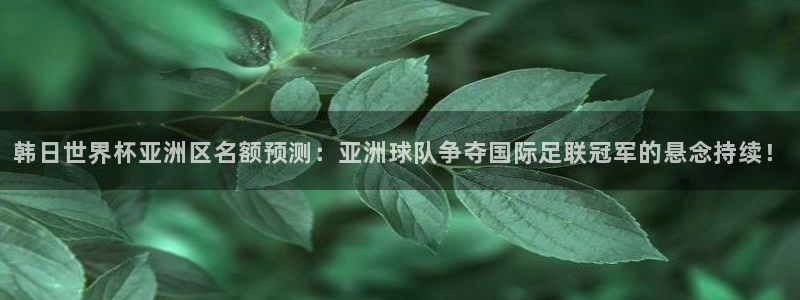 2006世界杯：韩日世界杯亚洲区名额预测：亚洲球队争夺国际足联冠军的悬念持续！