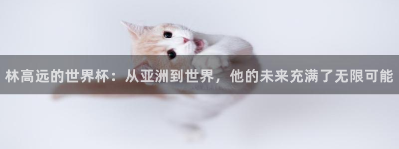 世界杯直播平台：林高远的世界杯：从亚洲到世界，他的未来充满了无限可能