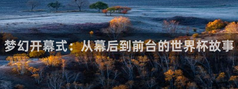 2026世界杯赛制：梦幻开幕式：从幕后到前台的世界杯故事