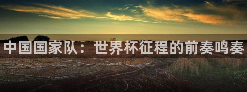 2026葡萄牙杯赛程表：中国国家队：世界杯征程的前奏鸣奏