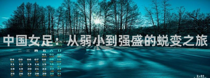 足球世界杯赛程：中国女足：从弱小到强盛的蜕变之旅