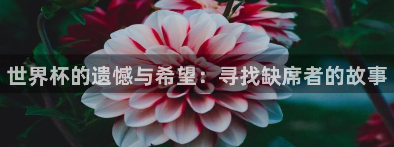 2026年世界杯赛程表时间：世界杯的遗憾与希望：寻找缺席者的故事