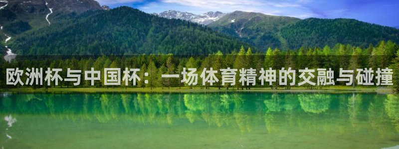 足球世界杯：欧洲杯与中国杯：一场体育精神的交融与碰撞