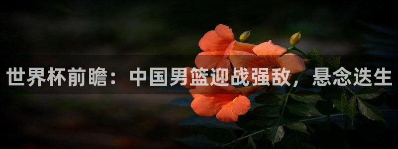 2026葡萄牙杯赛程表：世界杯前瞻：中国男篮迎战强敌，悬念迭生
