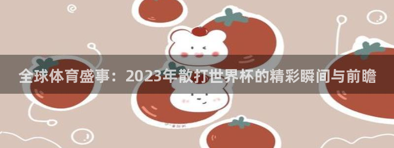足球世界杯时间：全球体育盛事：2023年散打世界杯的精彩瞬间与前瞻