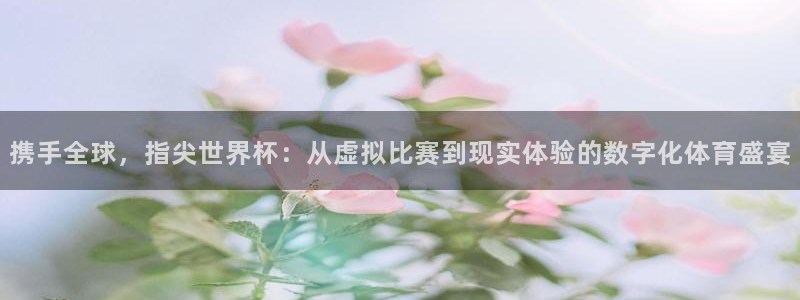 世界杯直播网站：携手全球，指尖世界杯：从虚拟比赛到现实体验的数字化体育盛宴
