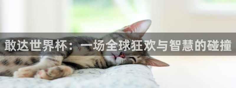 世界杯赛程2026：敢达世界杯：一场全球狂欢与智慧的碰撞
