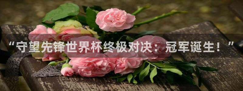 世界杯在线直播入口：“守望先锋世界杯终极对决：冠军诞生！”