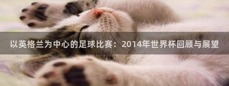 世界杯2026赛制：以英格兰为中心的足球比赛：2014年世界杯回顾与展望