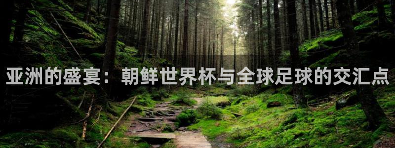 2026世界杯亚洲预选赛赛程：亚洲的盛宴：朝鲜世界杯与全球足球的交汇点