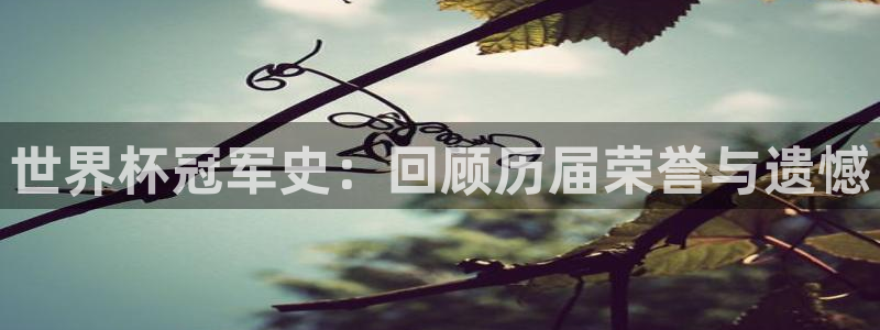 2026世界杯足球赛程时间表：世界杯冠军史：回顾历届荣誉与遗憾