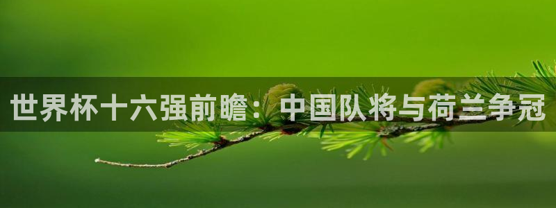 世界杯比赛直播：世界杯十六强前瞻：中国队将与荷兰争冠