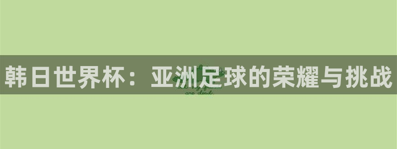 世界杯官网：韩日世界杯：亚洲足球的荣耀与挑战